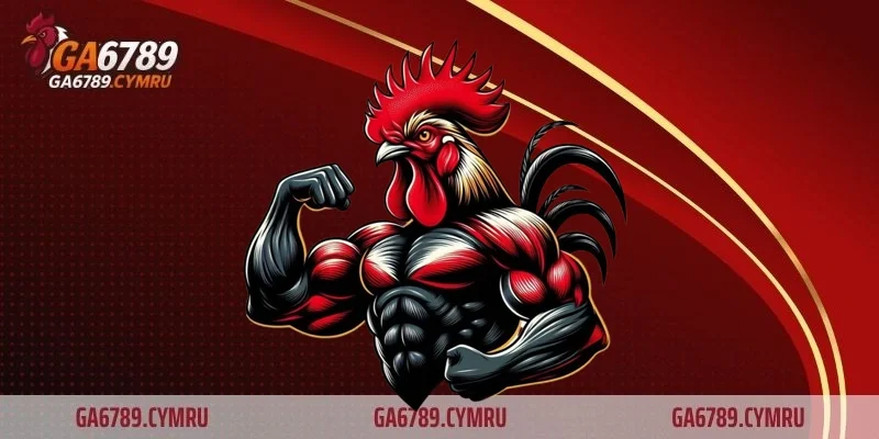 Mẹo chơi đá gà toàn thắng giúp nâng cao tỷ lệ thành công