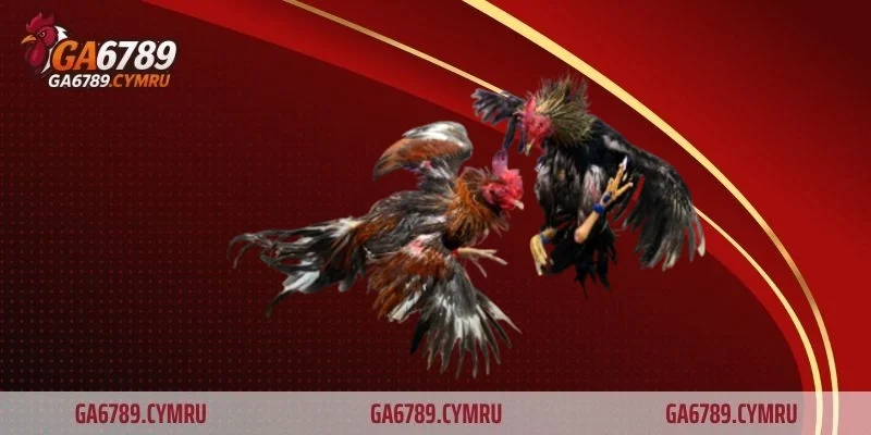 Độ hiếm và giá trị